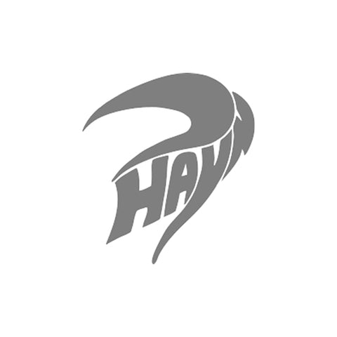 Hayn logo